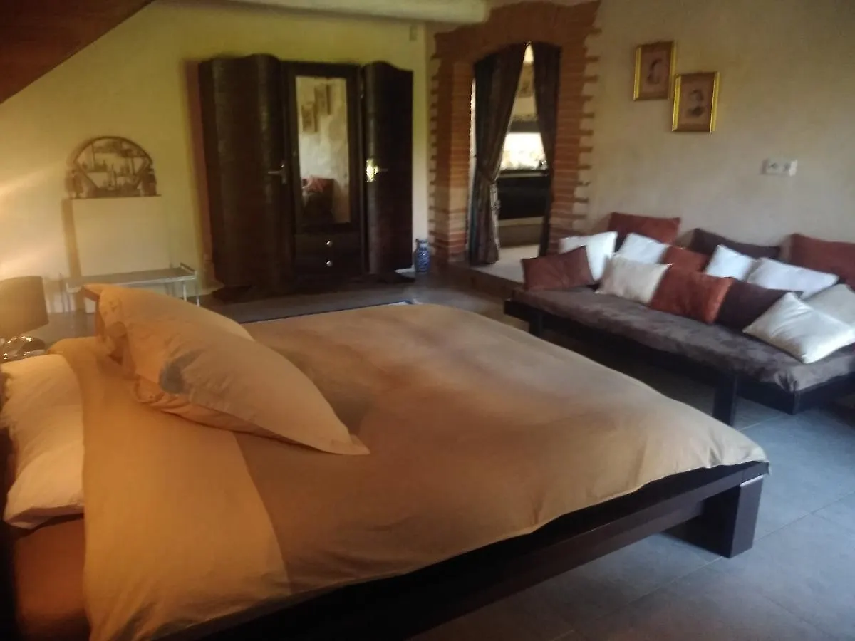 Domaine La Baronne Bed & Breakfast Buzet-sur-Tarn